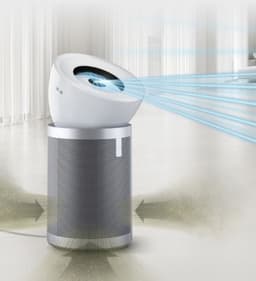 Dyson Purifier Big Quiet Formaldehyde 4